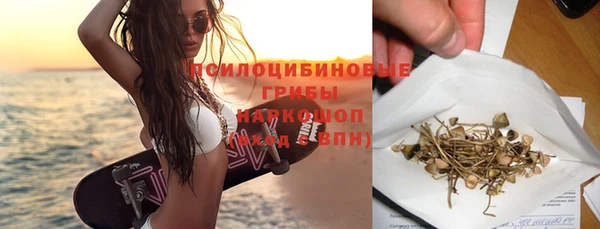 молекула духа Алзамай