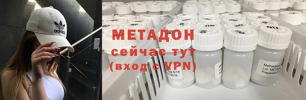индика Аркадак
