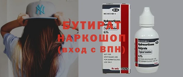 индика Аркадак