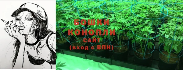 индика Аркадак